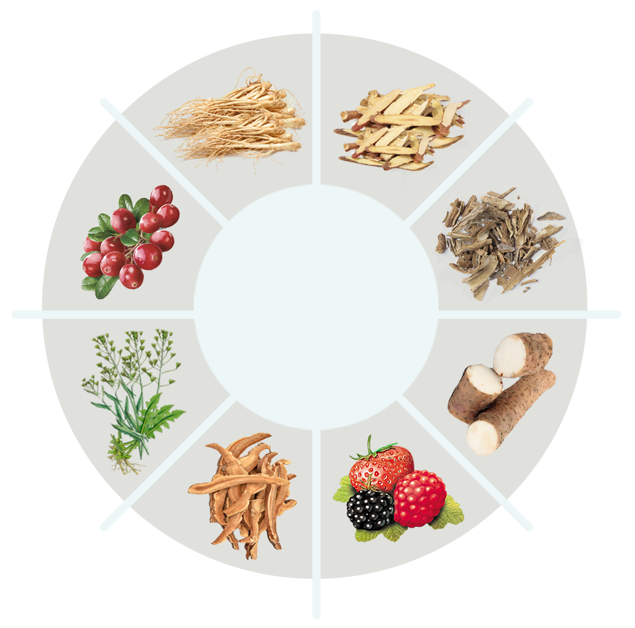 BackBiome Ingredients